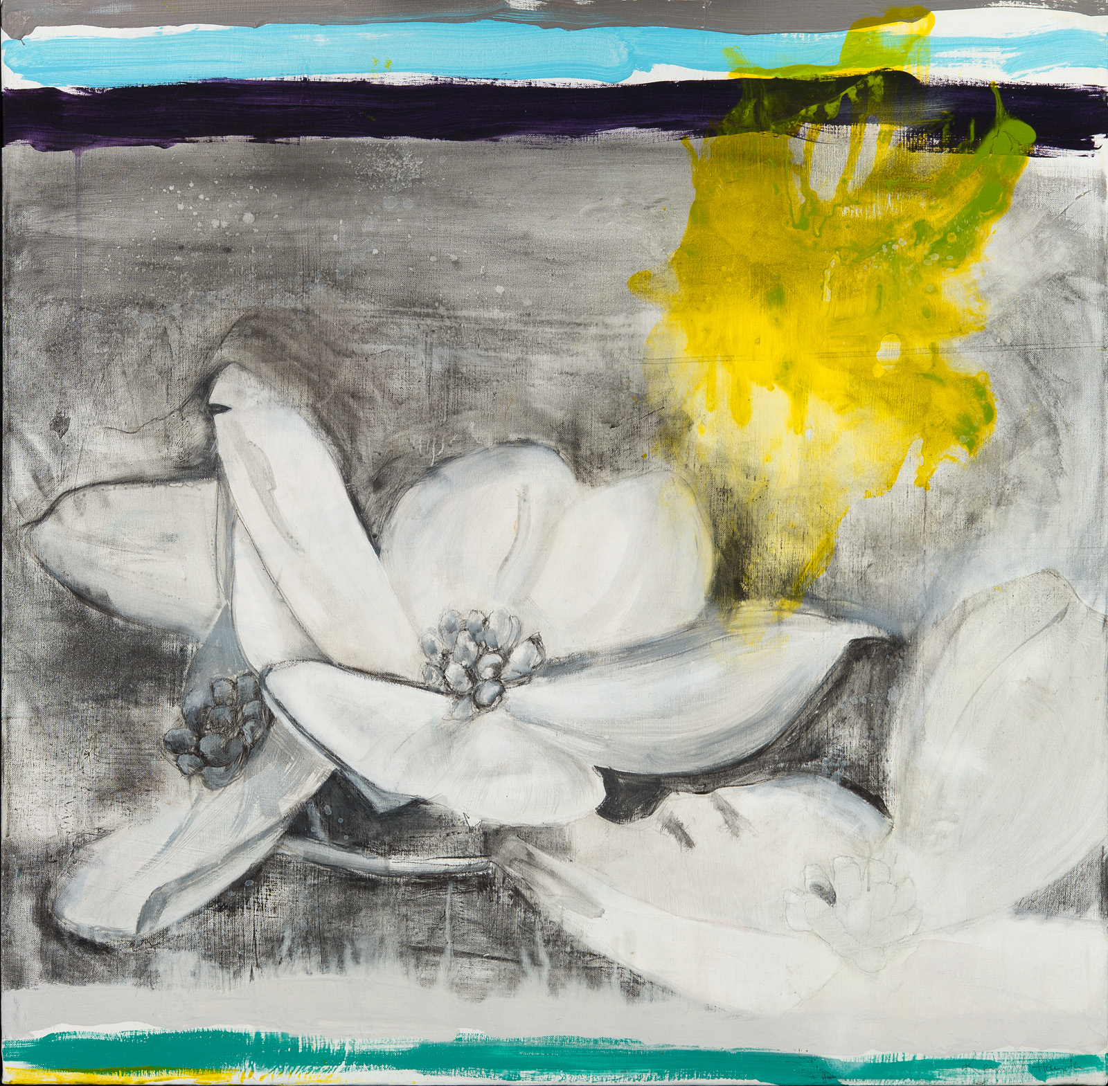 Dogwood Spring, 2018